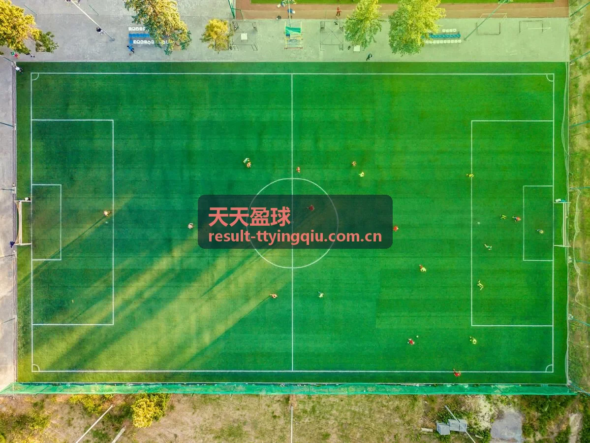 天天盈球组合模型权重配置